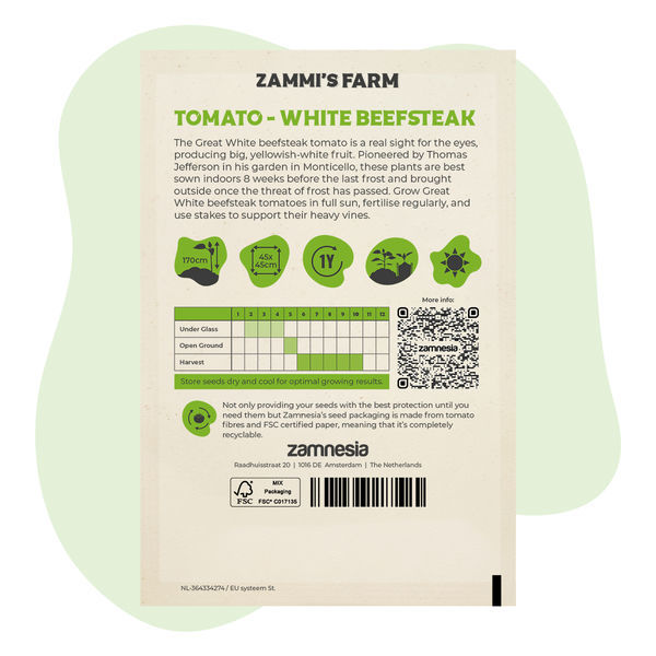 Rajče Great White Beefsteak (Solanum lycopersicum) – semena