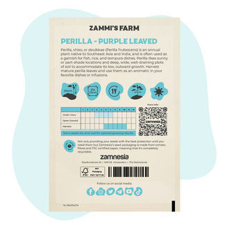 Semena purpurové perily (Perilla frutescens)