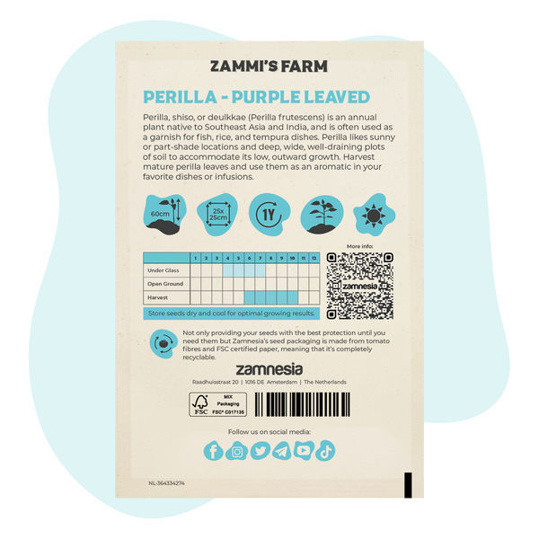 Semena purpurové perily (Perilla frutescens)