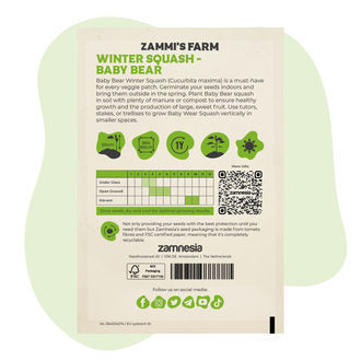 Dýně velkoplodá Baby Bear (Cucurbita maxima) – semena