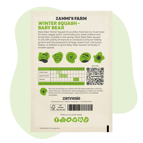 Dýně velkoplodá Baby Bear (Cucurbita maxima) – semena