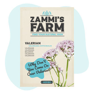 Semena kozlíku lékařského (Valeriana officinalis)