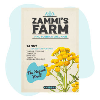 Semena vratiče obecného (Tanacetum vulgare)