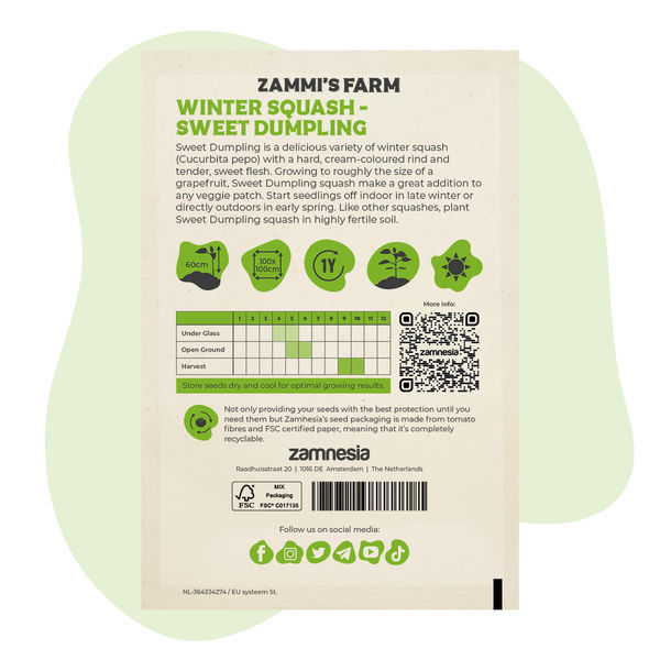 Dýně typu winter squash Sweet Dumpling (Cucurbita pepo) – semena