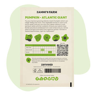 Semena dýně Atlantic Giant (Cucurbita maxima)