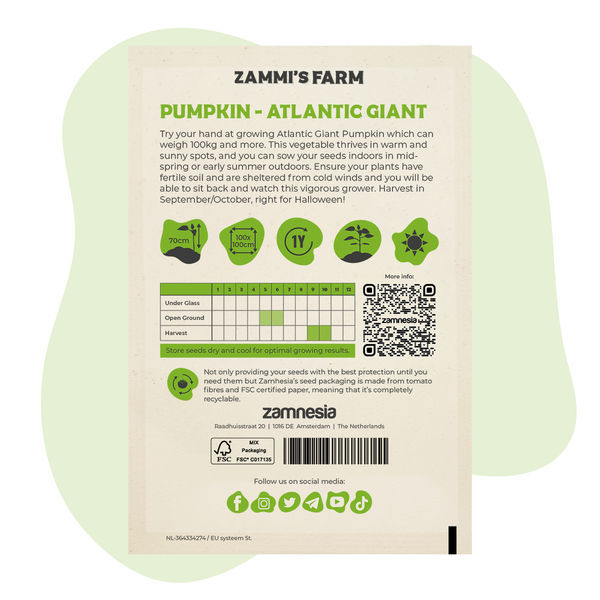 Semena dýně Atlantic Giant (Cucurbita maxima)