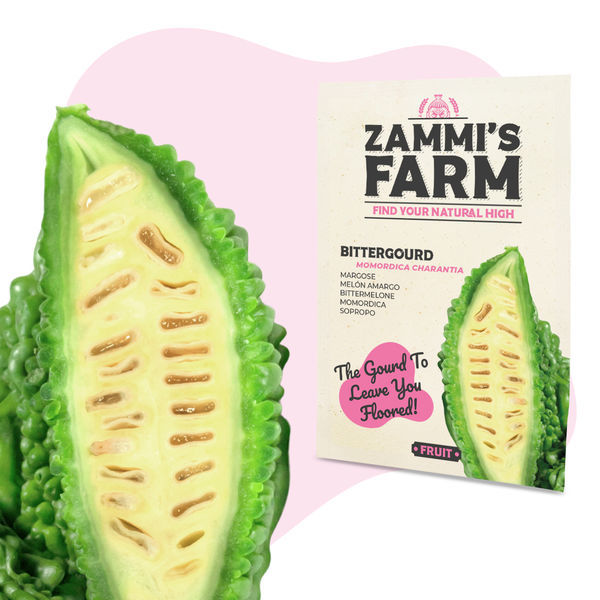 Semena hořké okurky (Momordica charantia)