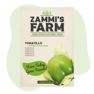 Semena tomatilla (Physalis ixocarpa)