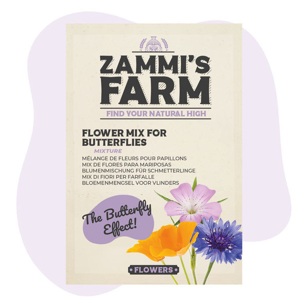 Směs květinových semen pro motýly