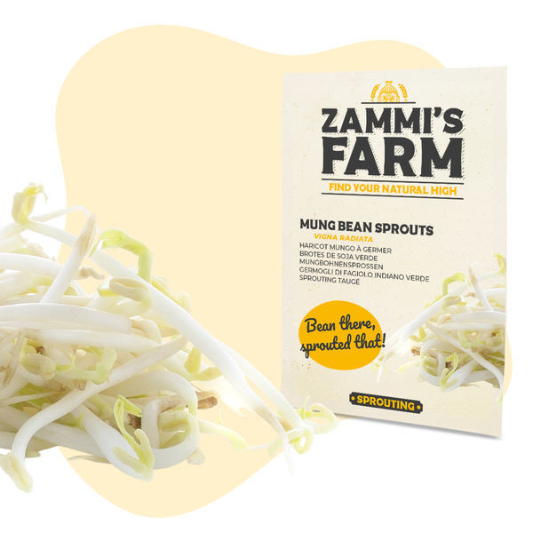 Semena mungo klíčků (Vigna radiata)