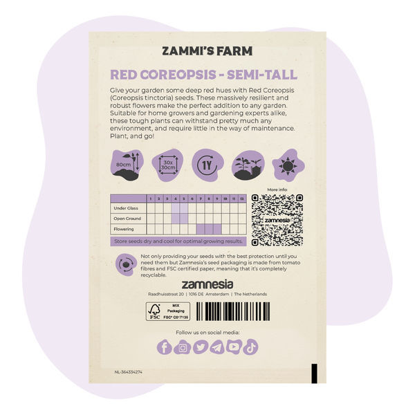 Červená krásnoočko (Coreopsis tinctoria) polovina výšky