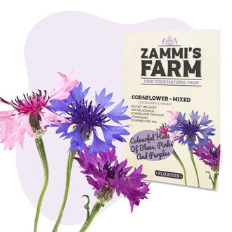 Chrpa modr&aacute; 'Směs' (Centaurea cyanus) &ndash; semena