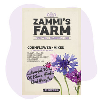 Chrpa modrá 'Směs' (Centaurea cyanus) – semena