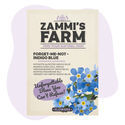 Zapomeň-ne 'Indigo Blue' (Myosotis alpestris) – semena