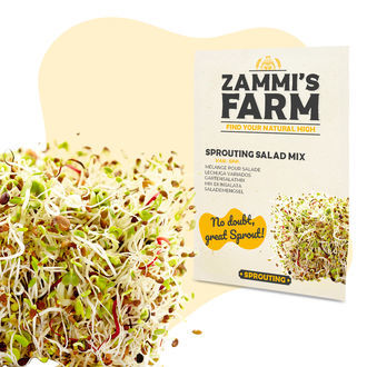 Směs semen na kl&iacute;čen&iacute; do sal&aacute;tů