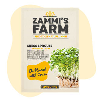 Semena klíčků řeřichy (Lepidium sativum)