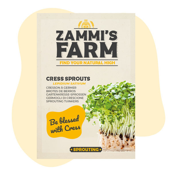 Semena klíčků řeřichy (Lepidium sativum)