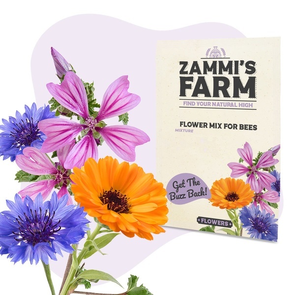 Směs květinových semen pro včely