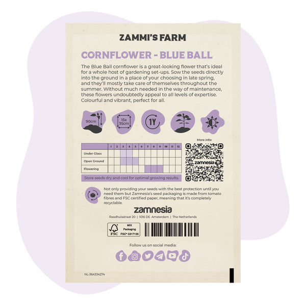 Chrpa modrák 'Blue Ball' (Centaurea cyanus) – semena