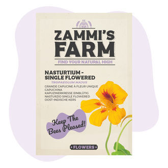 Lichořeřišnice větší 'Single Flowered' (Tropaeolum majus) – semena