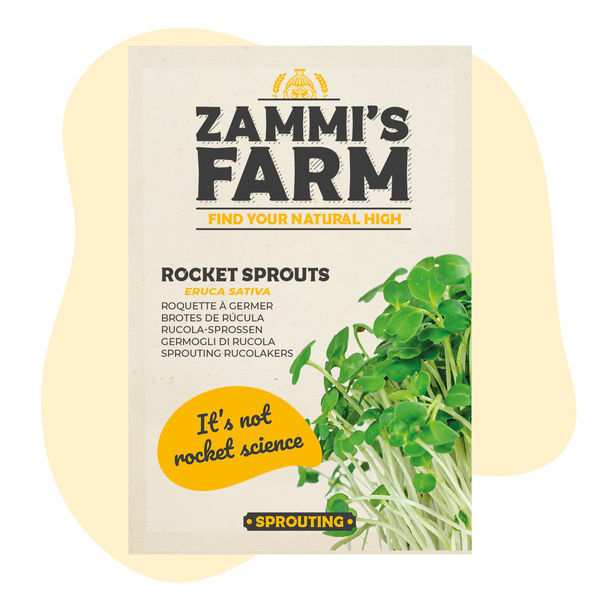 Semena klíčků rokety (Eruca sativa)