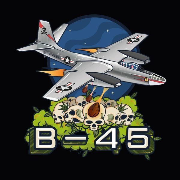 B-45 od Booby (Silent Seeds) feminizovaná