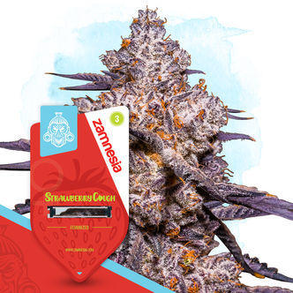 Strawberry Cough (Zamnesia Seeds) feminizovan&aacute;