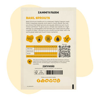 Semena klíčků bazalky (Ocimum basilicum)