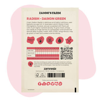 Mikrozelenina ředkvička – Daikon Green (Raphanus sativus) semena