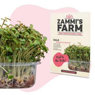 Microgreens kapusta (Brassica oleracea) &ndash; semena