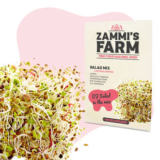 Semena sal&aacute;tov&eacute; směsi microgreens (Lactuca sativa)