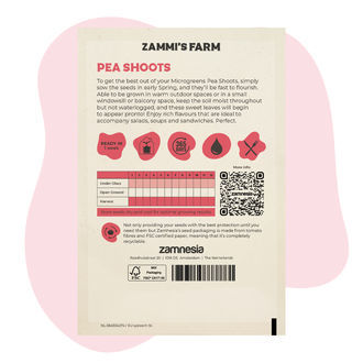 Mikrozelenina – výhonky hrachu (Pisum sativum) – semena