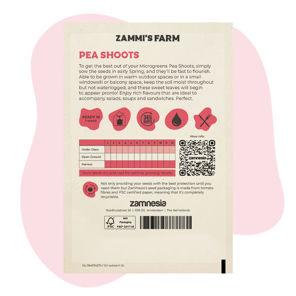 Mikrozelenina – výhonky hrachu (Pisum sativum) – semena