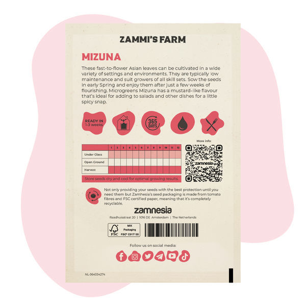 Semena microgreens mizuna (Brassica rapa)