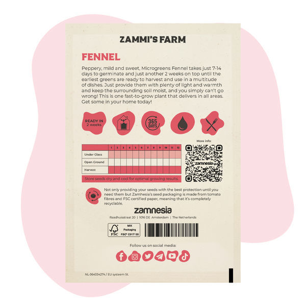 Mikrozelenina fenykl (Foeniculum vulgare) – semena