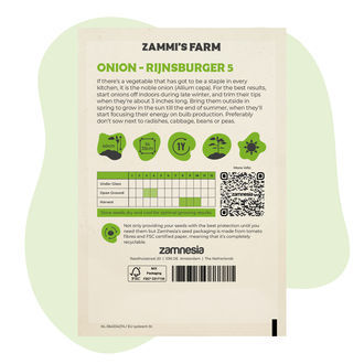 Cibule – Rijnsburger 5 (Allium cepa) semena