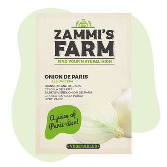 Cibule Paris (Allium cepa) semena