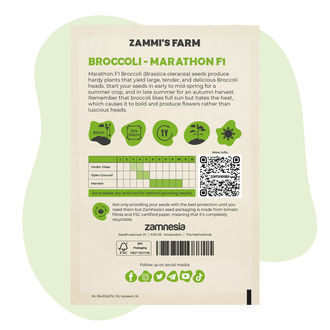 Brokolice Marathon F1 (Brassica oleracea) – semena