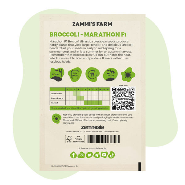 Brokolice Marathon F1 (Brassica oleracea) – semena