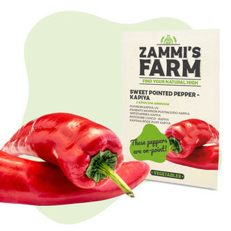 Semena sladk&eacute; &scaron;pičat&eacute; papriky Kapiya (Capsicum annuum)