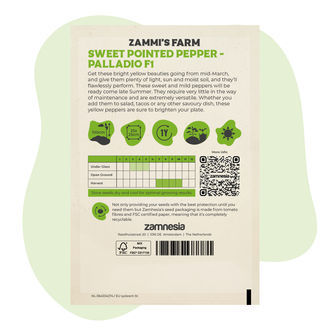 Paprika sladká špičatá Palladio F1 (Capsicum annuum) – semena