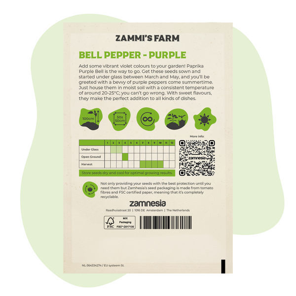 Semena papriky Purple Bell (Capsicum annuum)