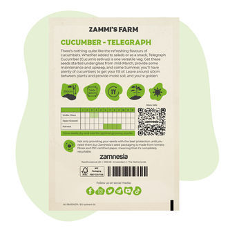 Okurka Telegraph (Cucumis sativus) – semena