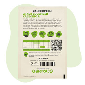 Kalimero F1, snacková okurka (Cucumis sativus) – semena