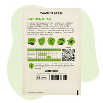 Zahradní hrách (Pisum sativum) – semena