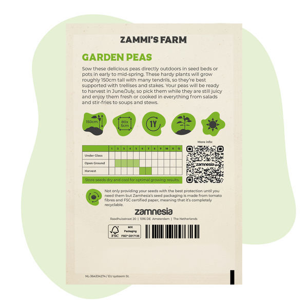 Zahradní hrách (Pisum sativum) – semena
