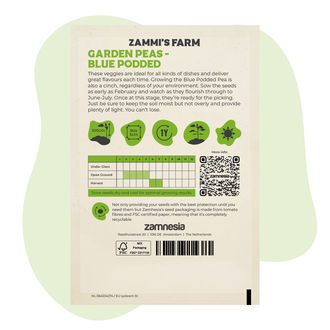 Semena hrášku Blue Podded (Pisum sativum)