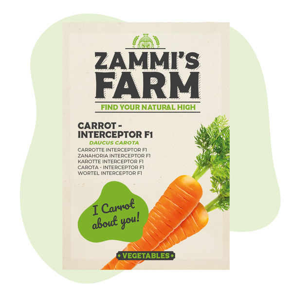 Mrkev – Interceptor F1 (Daucus carota) semena