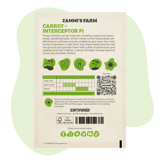 Mrkev – Interceptor F1 (Daucus carota) semena