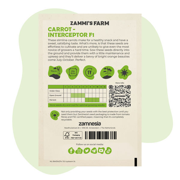 Mrkev – Interceptor F1 (Daucus carota) semena